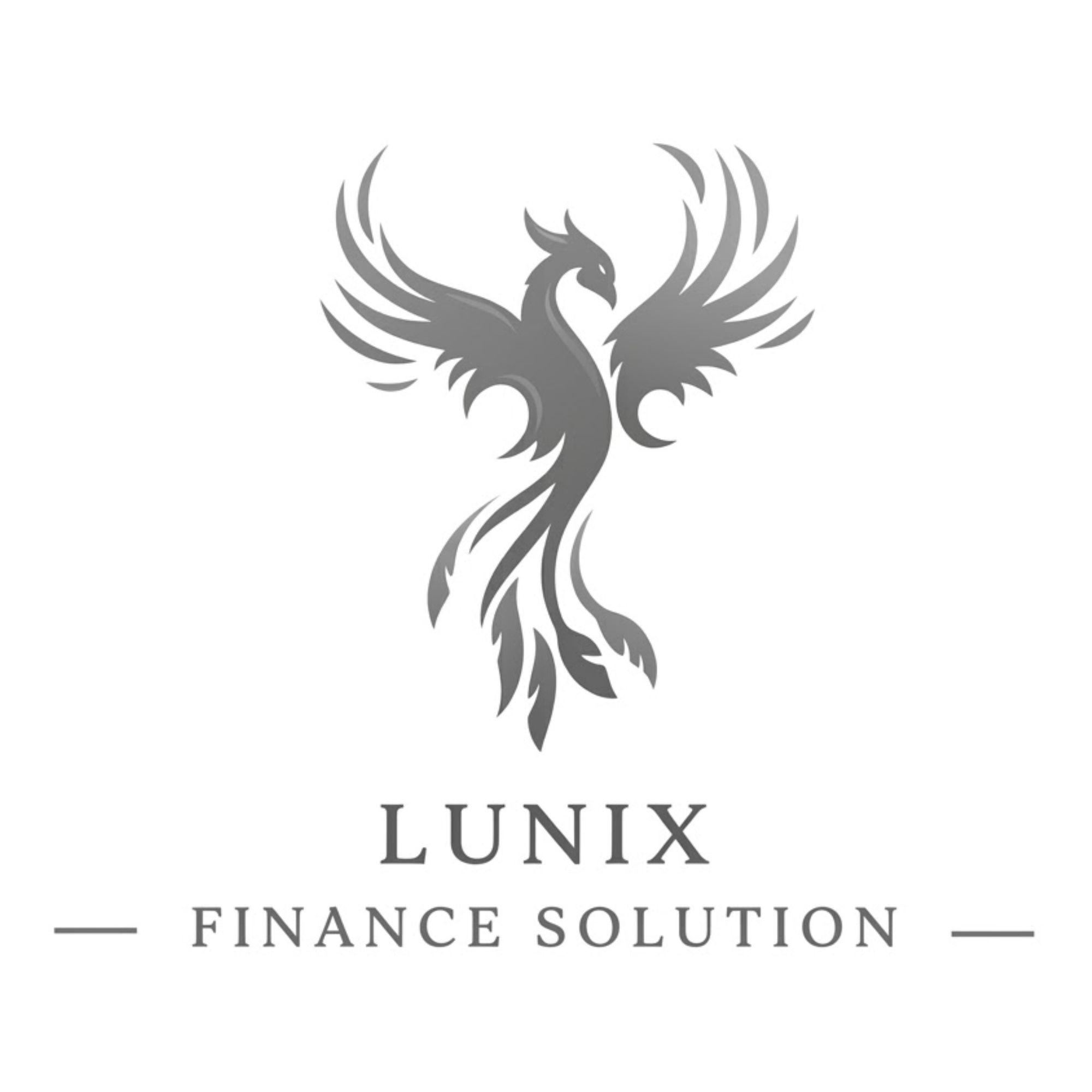 Lunix finance solution 