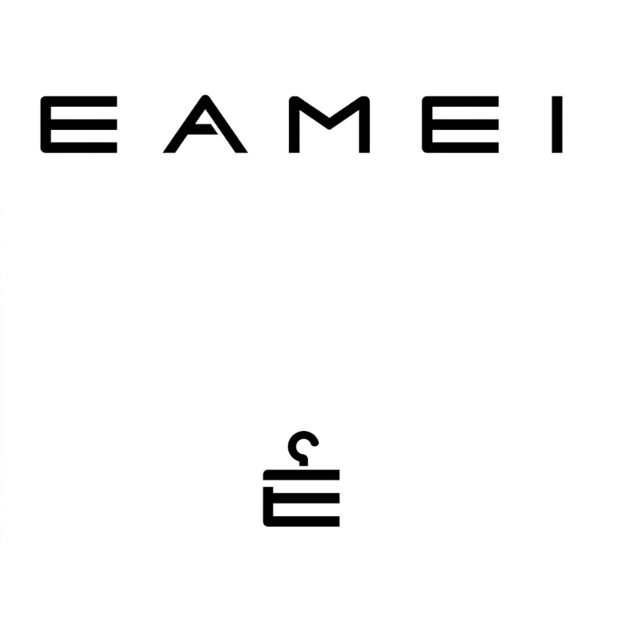 EAMEI