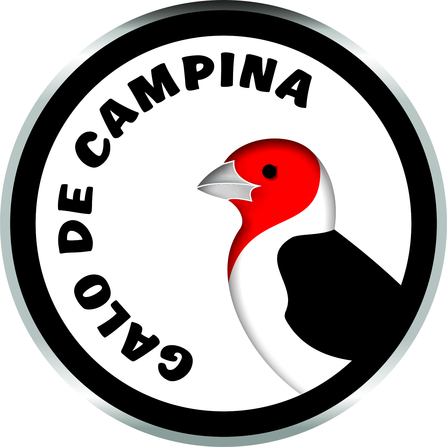 Galo de Campina