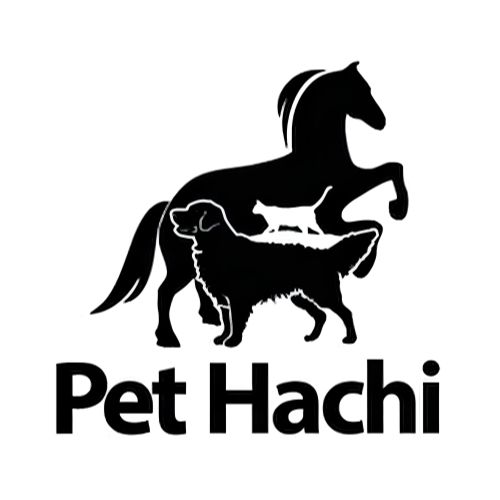 PET HACHI